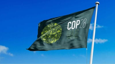 Embedding Nature into Net Zero Transition:  Notes and Thoughts on COP28 Finance Day