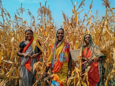 Women and Climate Change: The Critical Role and Disproportionate Impact